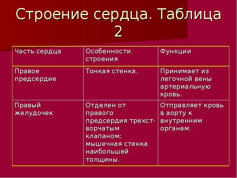 Строение и основные функции крови и кровообращения презентация