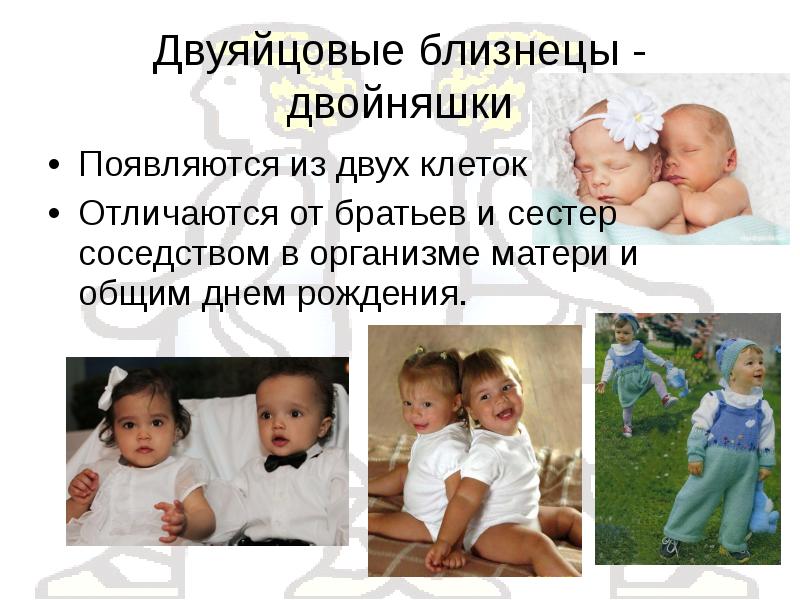 Презентация про близнецов