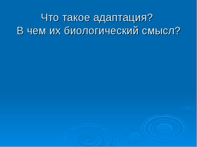 Что главное в презентации