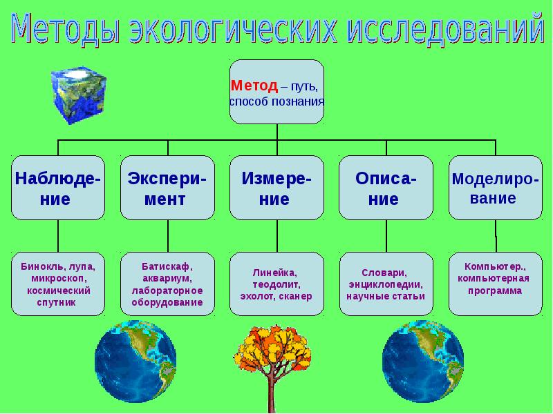 Экологический анализ проекта это