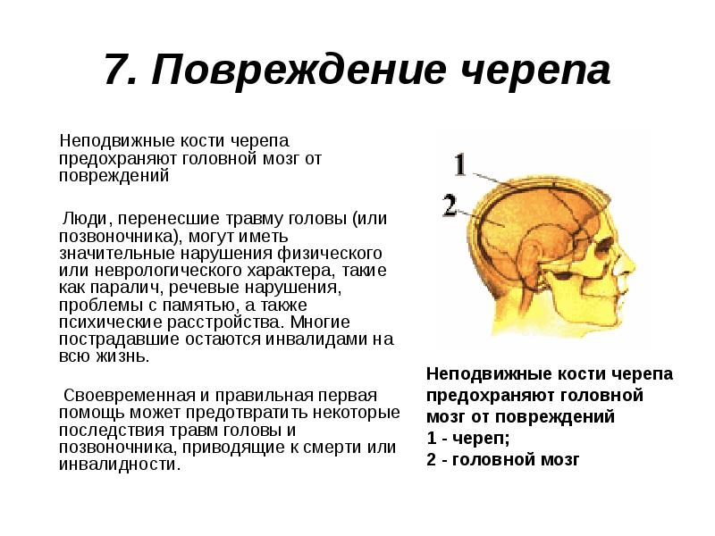 7. Повреждение черепа  Неподвижные кости черепа предохраняют головной мозг от