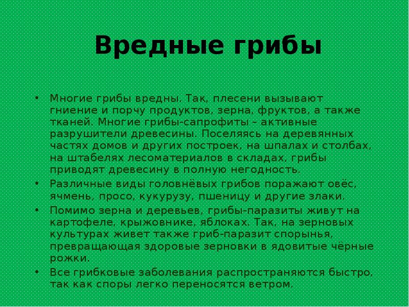 Презентация на тему грибы польза и вред