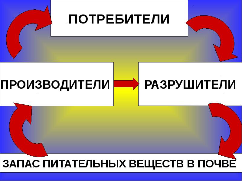 Великий круговорот жизни 3 класс окружающий. Окружающий мир 3 класс Великий круговорот жизни модель. Модель круговорота жизни. Презентация круговорот жизни. Производители потребители Разрушители.