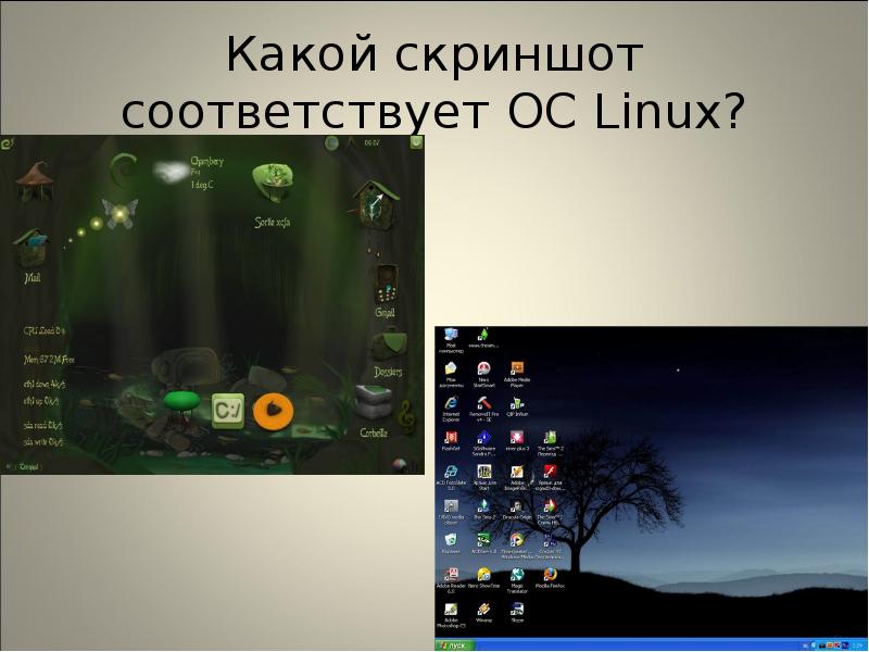 Какой скриншот. Операционная система Ubuntu презентация. Люникс Операционная система Скриншоты. Какие скрины. Скрин ОС Лисс.