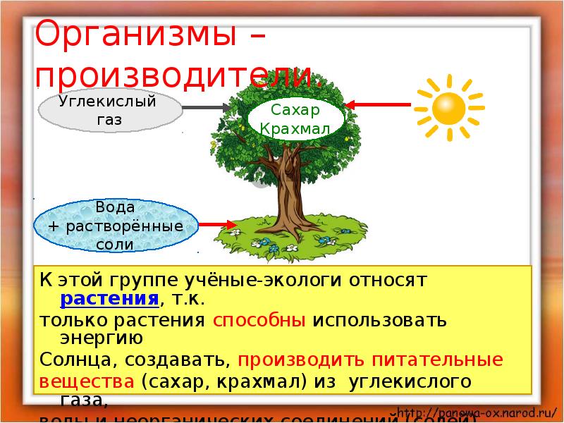 Проект с презентацией 3 класс