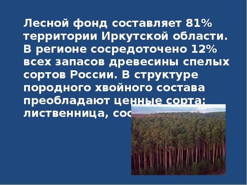 Лесной фонд составляет 81% территории Иркутской области. В регионе сосредоточено 12%