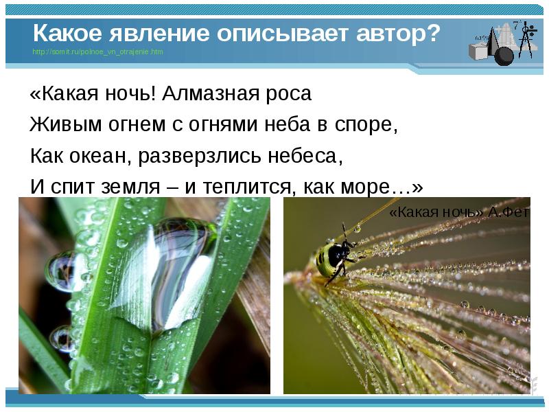 Какое явление описывает автор? http://somit.ru/polnoe_vn_otrajenie.htm   «Какая ночь! Алмазная роса