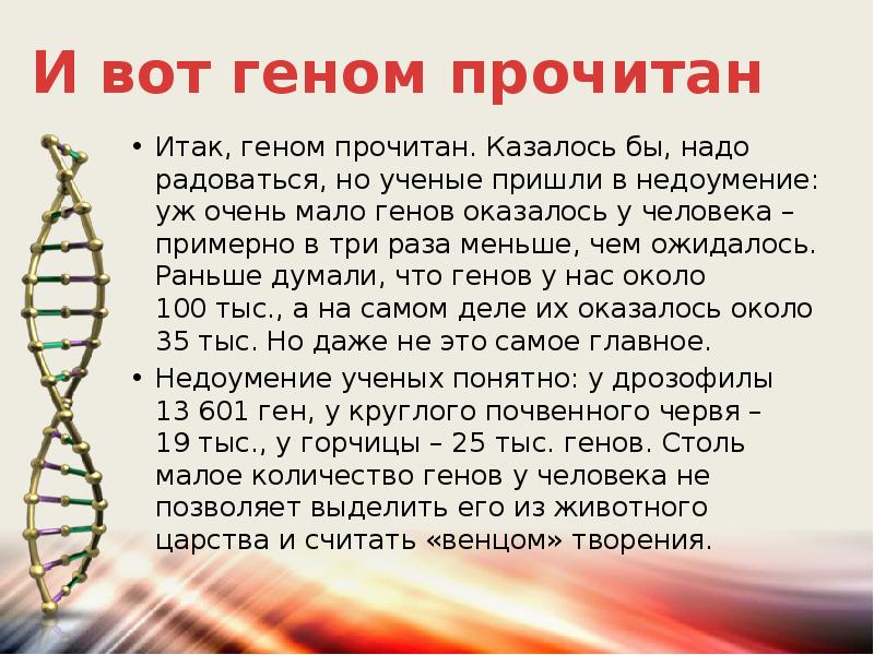 Презентация на тему геном человека