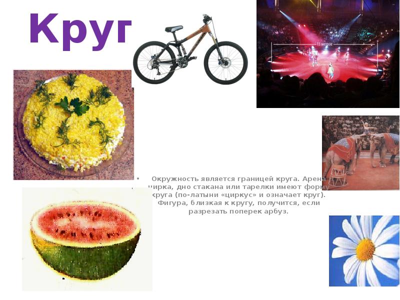 Круг
Окружность является границей круга. Арена цирка, дно стакана или тарелки Круг
Окружность является границей круга. Арена цирка, дно стакана или тарелки