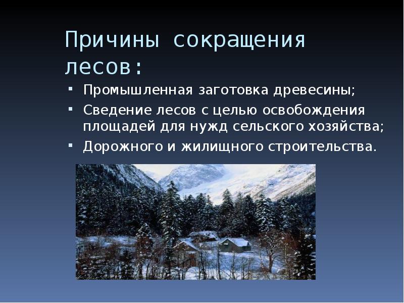 Лес причины. Причины сокращения площади лесов. Причины сокращения лесов. Основные причины сокращения лесов. Причины и последствия сокращения лесов.