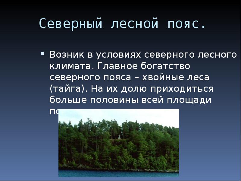 Лесной хвойный пояс. Северный Лесной пояс. Главнейшее богатство тайги древесина. Характеристика Северного лесного пояса. Хвойные леса климат.