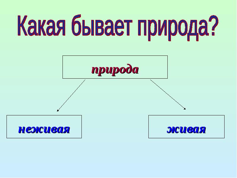 Презентация природа и рукотворный мир