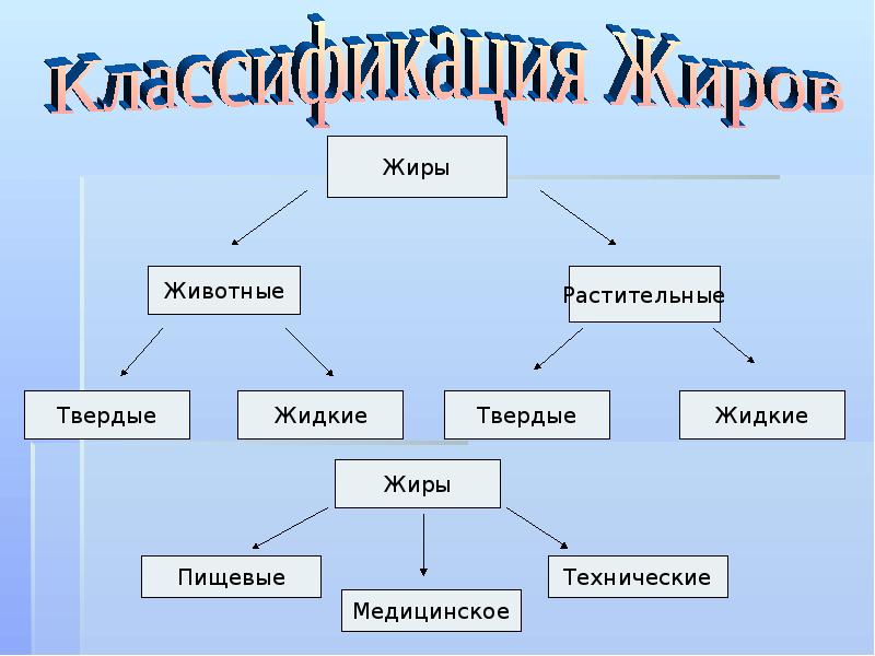 Жиры презентация по химии 9 класс