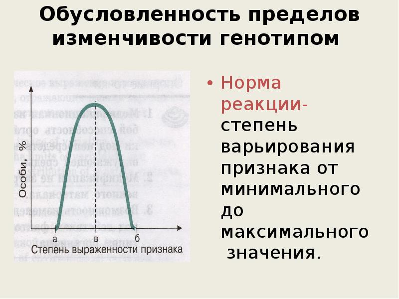 Примеры изменчивых величин. Ненаследственная изменчивость норма реакции. Норма реакции степень варьирования признака. Норма реакции это пределы. Норма реакции это пределы изменчивости.