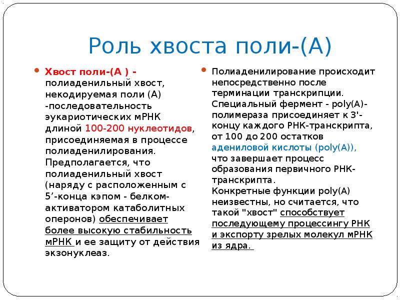 Роль поль. Функция Поли а фрагмента МРНК. Поли а хвост функции. Поли-a-хвост матричной РНК. Функции Поли а конец МРНК.