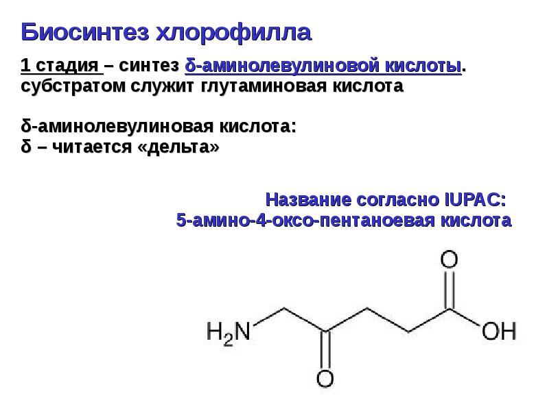 Для чего нужна глутаминовая кислота. Бета аминолевулиновая кислота. 5 Аминолевулиновая кислота формула. Синтез 6 аминолевулиновой кислоты. Синтез δ-аминолевулиновой кислоты.