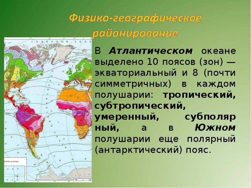 Географическое положение зоны субполярных и полярных поясов