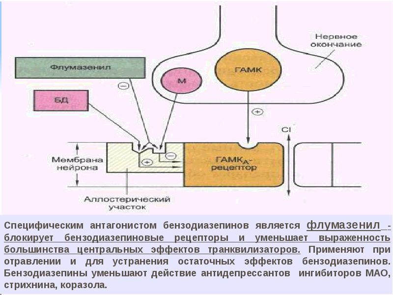 Механизм действия транквилизаторов схема