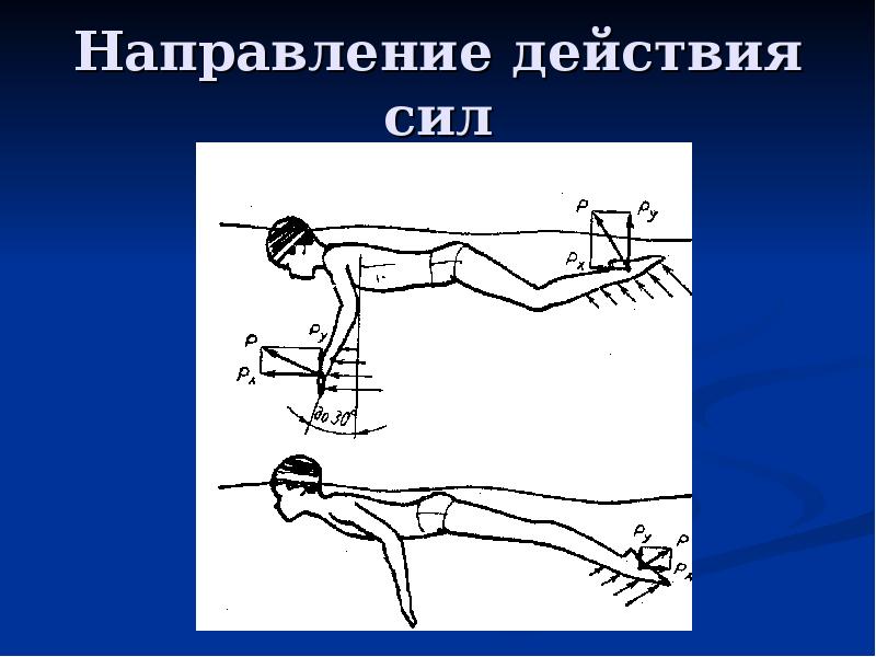 Основы техники плавания презентация