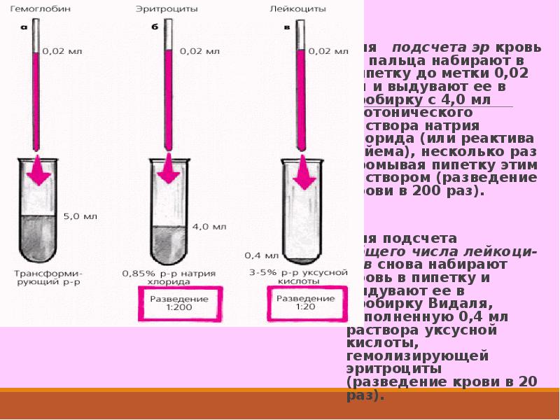 Осадок отделили. В пробирку для разведения крови пипеткой внести. Пробирки для подсчета количества тромбоцитов. Для подсчета лейкоцитов крови в пробирке разводят. Уксусная кислота для подсчета лейкоцитов приготовление.