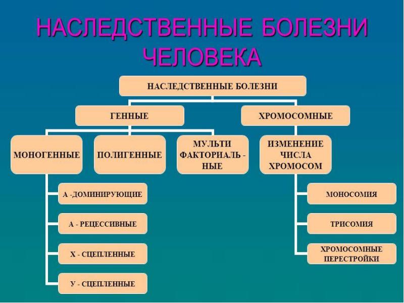 Классификация наследственных заболеваний презентация