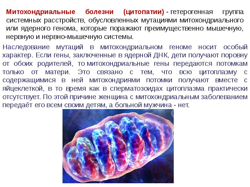 Проект на тему наследственные болезни 10 класс