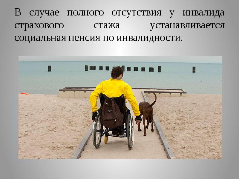 Презентация на тему инвалидность реабилитация