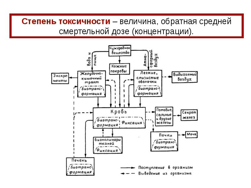 Какова принципиальная схема определения токсической безопасности пищевых добавок