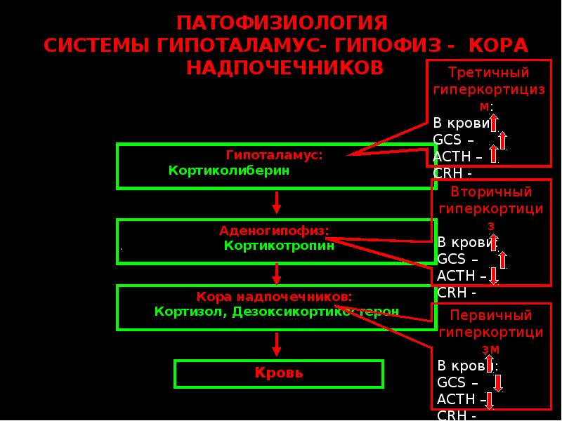 Патофизиология надпочечников презентация