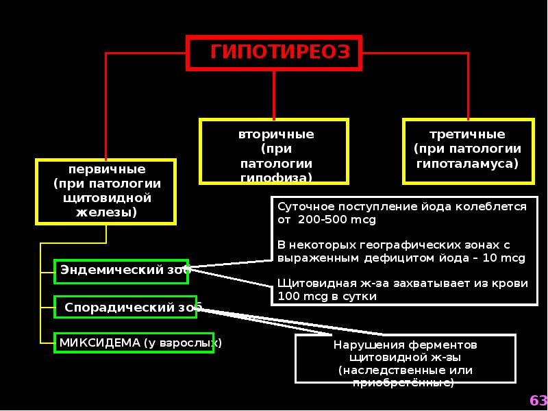 Гипотиреоз патофизиология презентация