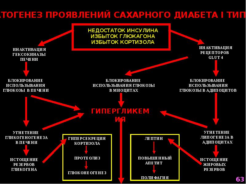 Патофизиология эндокринной системы презентация