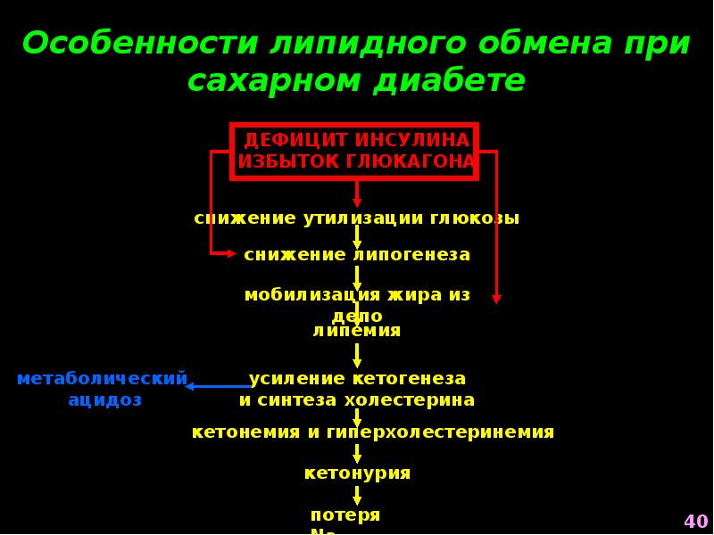 Патофизиология белкового обмена презентация