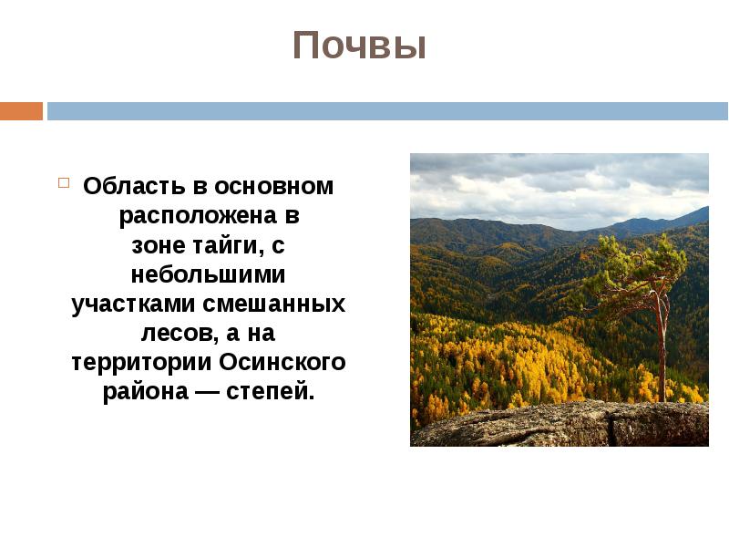 Какие почвы наиболее характерны для зоны тайги