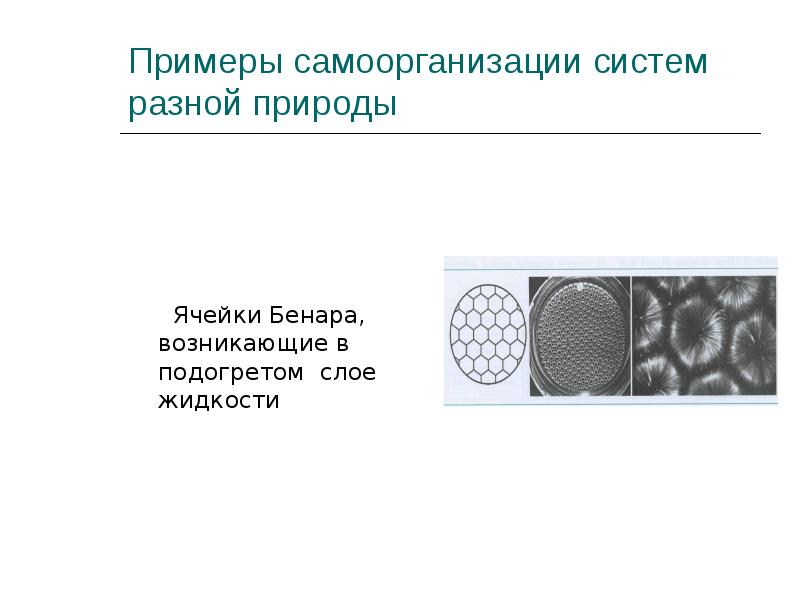 Исследование ячеек бенара презентация