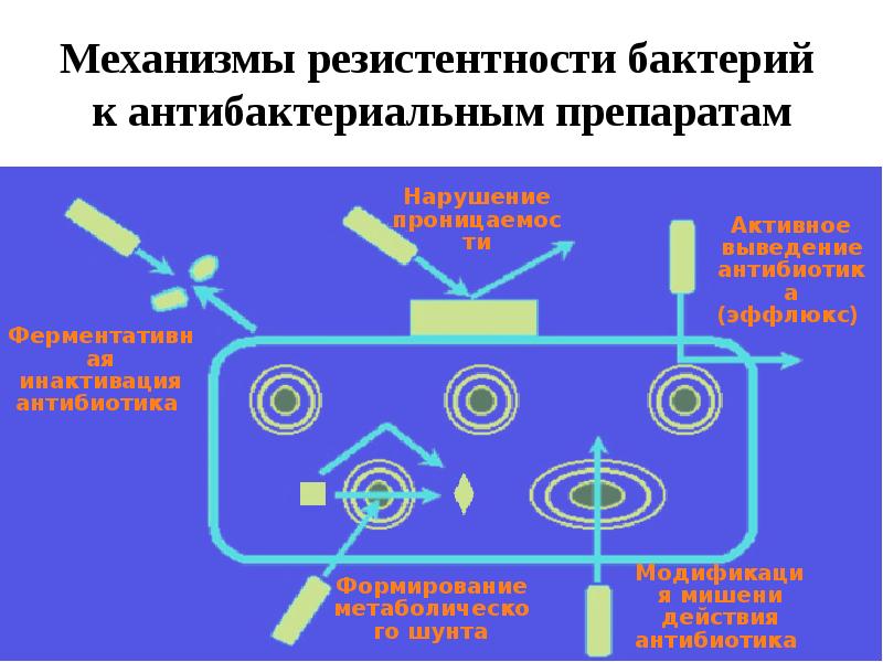 Основные механизмы резистентности