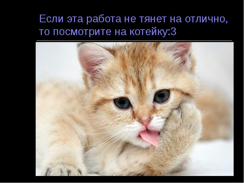 Если эта работа не тянет на отлично, то посмотрите на котейку:3