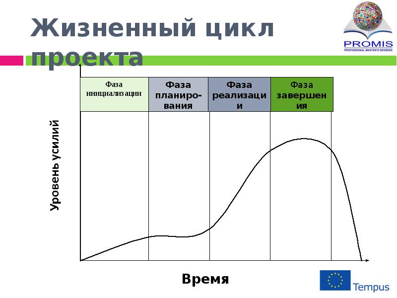 Этапы жизненного цикла проекта