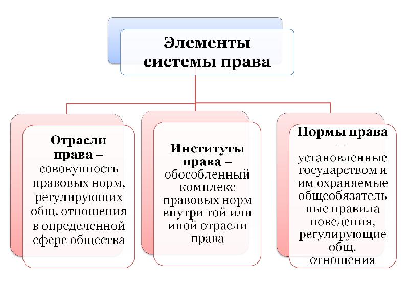 Роль права в жизни человека общества и государства презентация 6 класс петрунин