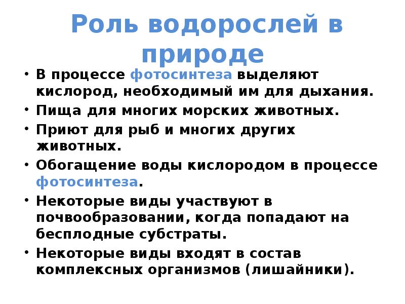 Роль водорослей в природе