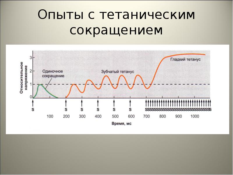 Изображать совершенный