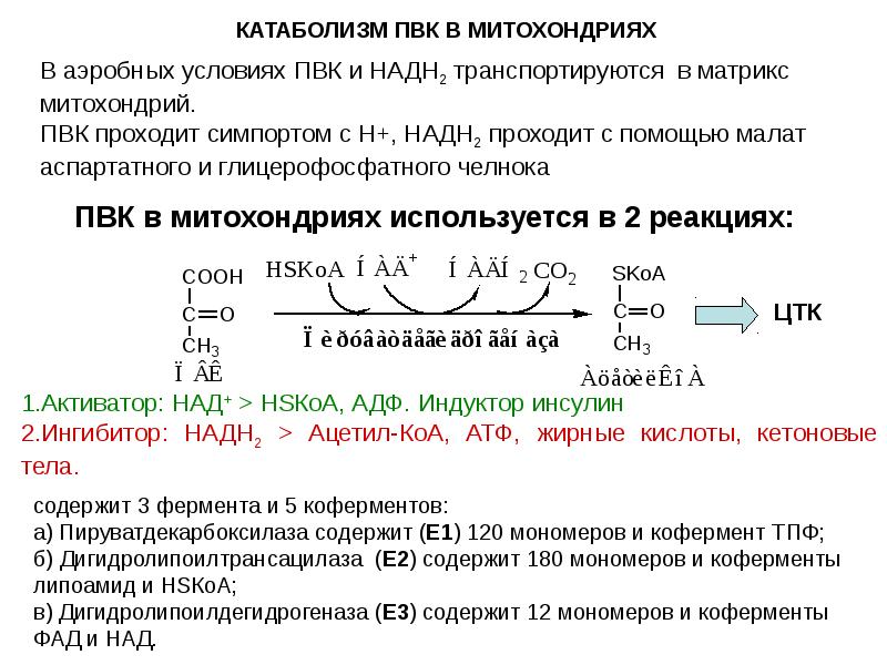 Схема катаболизма пвк