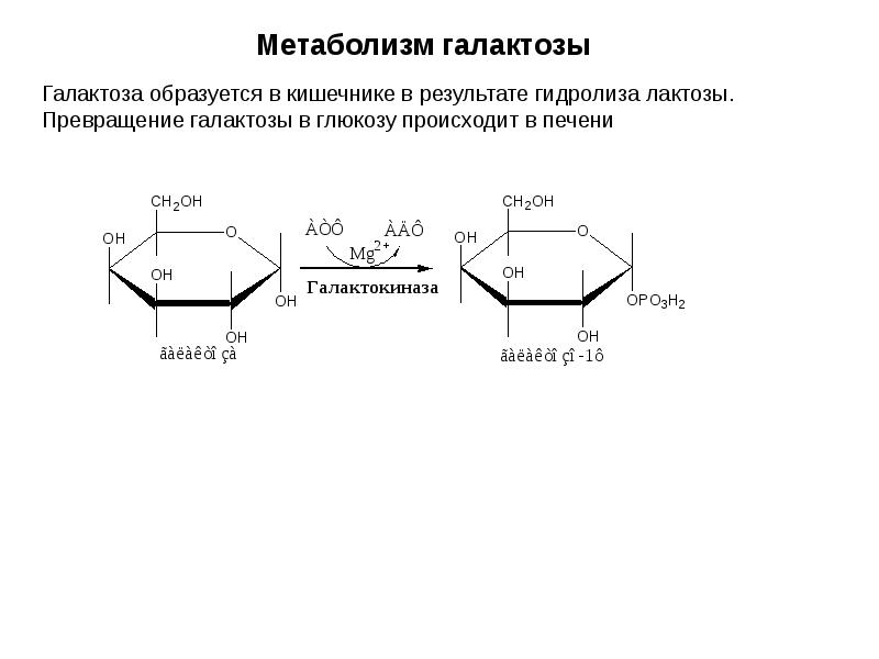 Схема метаболизма галактозы