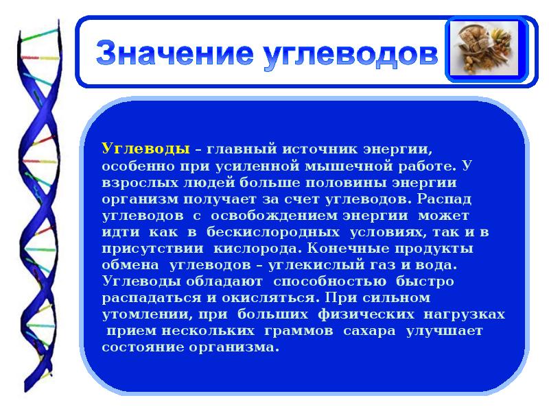 Значение углеводов в живой природе и жизни человека презентация