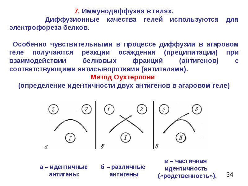 Двойная реакция. Метод двойной радиальной иммунодиффузии. Реакция двойной иммунодиффузии по Оухтерлони. Реакция иммунодиффузии в геле. Метод реакции иммунодиффузии.