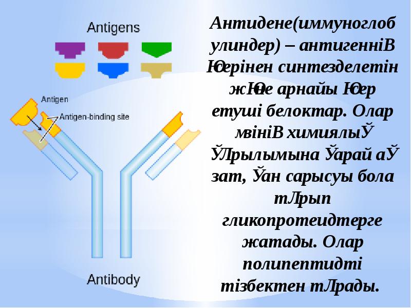 Моноклоналды антиденелер презентация