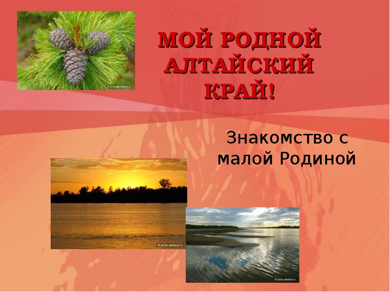 Проект, 3 класс "Разнообразие природы Алтайского края"