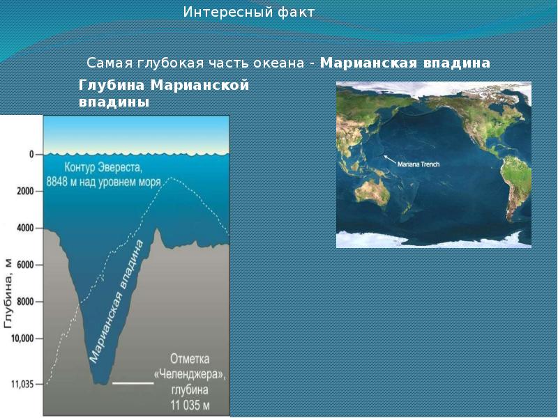 Тихий океан презентация 7 класс география