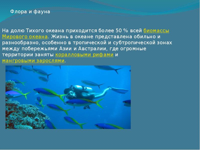 Сообщение про океан. Презентация на тему океаны. Тихий океан презентация. Океан для презентации. Рассказ про океан.