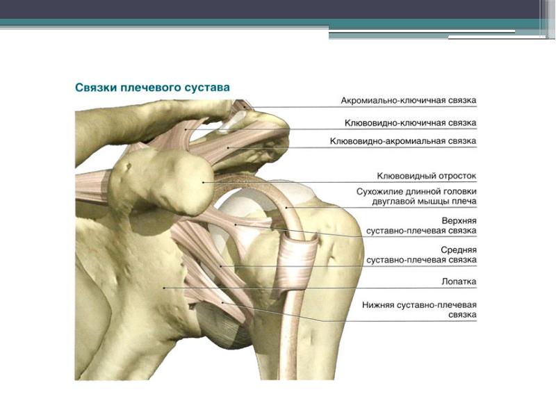 Артроскопия плечевого сустава презентация