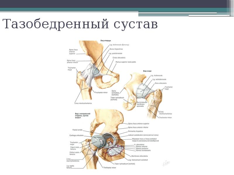 Артроскопия плечевого сустава презентация